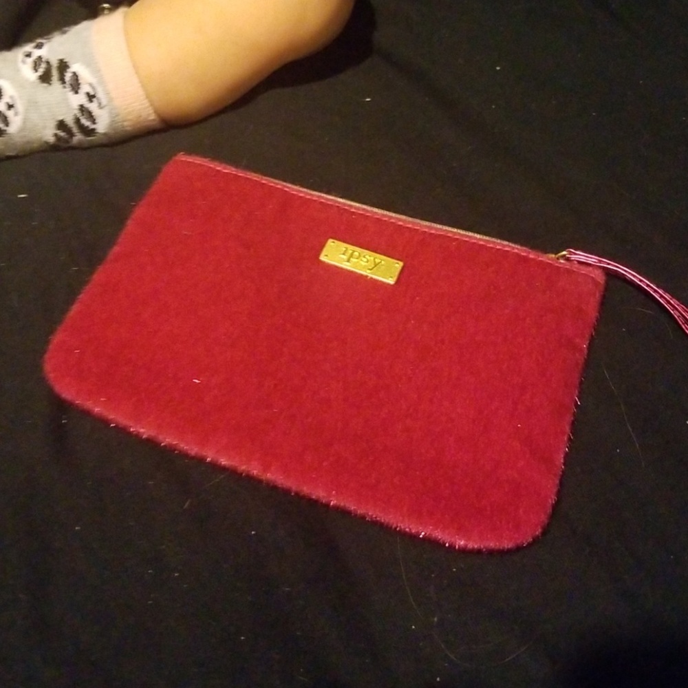 Ipsy bag
